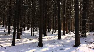 Details Lisa Birke: demo reel 2012 Update
