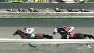 2009 San Diego Handicap