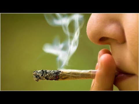 ¿Jurisprudencia? ¿Y eso qué es? ¿Se fuma?