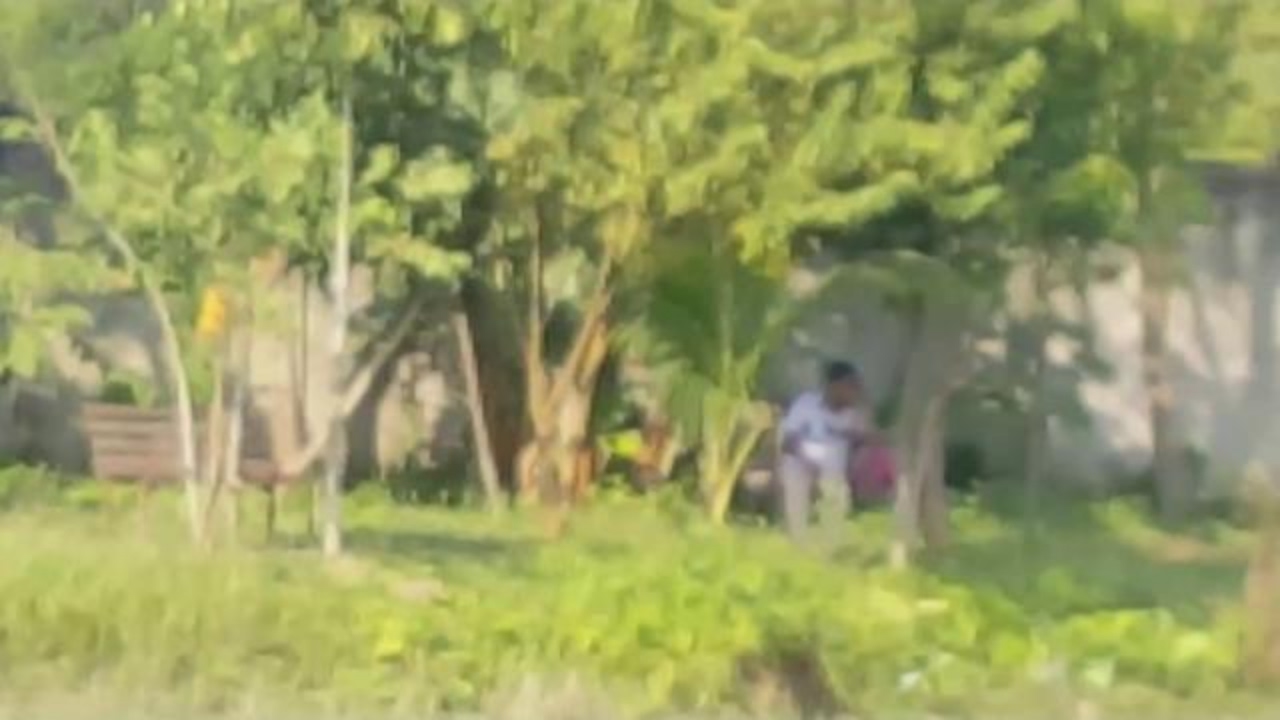 শেখ রাসেল পার্ক এ কি হয় দেখুন !! Lovers in Shekh RASEL Park, FARIDPUR.