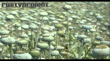 Rusty Project-Weak Sanity