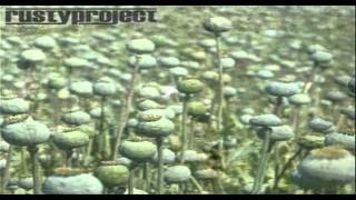 Rusty Project-Weak Sanity