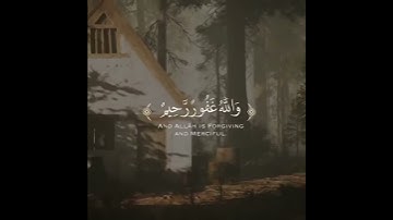 سورة المائدة ، وديع اليمني