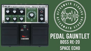 Boss RE20 Space Echo - Pedal Gauntlet