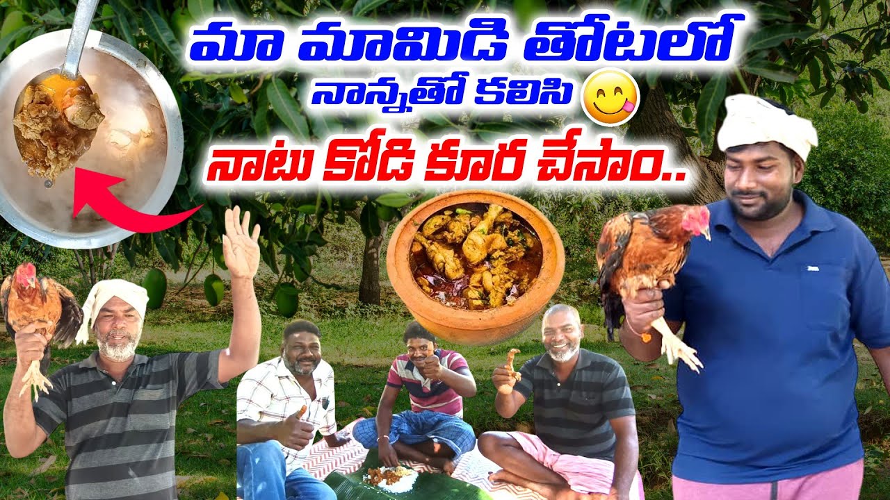 మా మామిడి తోటలో నాన్నతో కలిసి నాటుకోడి కూర చేసాం వావ్👌 Natu Kodi curry village style |varadh farming