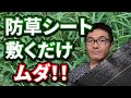 【初心者向け】防草シートを敷くだけでは雑草を防ぐことができない理由を解説します