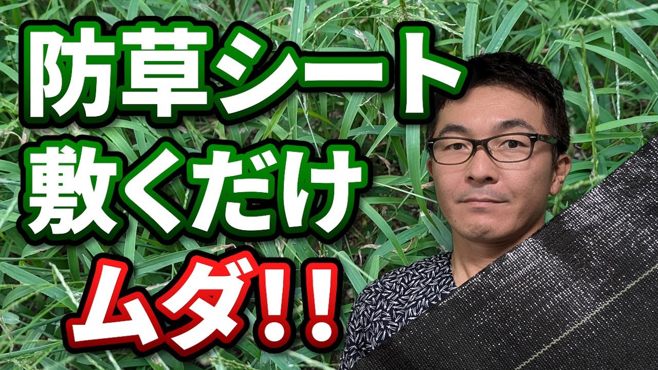 【初心者向け】防草シートを敷くだけでは雑草を防ぐことができない理由を解説します