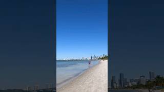 Miami's Dog Friendly Beach