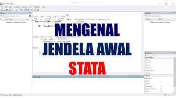 STATA: Mengenal Jendela Awal