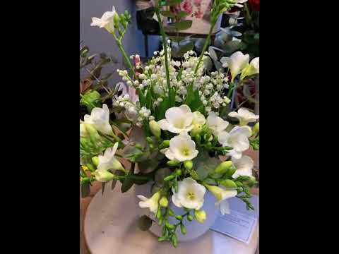 Video: Crizanteme Albe (38 Fotografii): Flori Mari Inodorum „Rochia Miresei” și Spray „Albă Ca Zăpada”, Crizanteme Mari și Mici Cu Un Singur Cap, Alte Soiuri