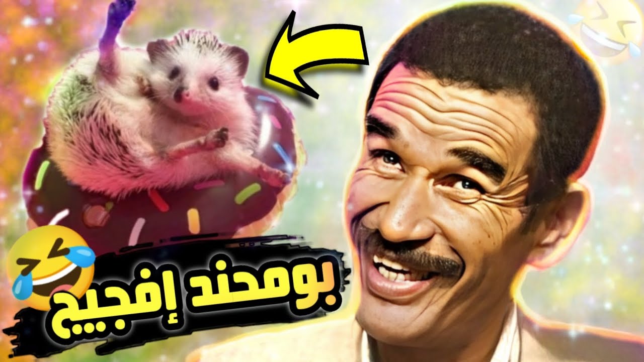 تسركيلة لايت| بومحند إفجيج إكضا إ ريحت الفلوس 😂