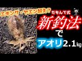 エギング・ヤエン超え!新釣法「だもんで式」で2㎏アオリイカを釣る!【24話】