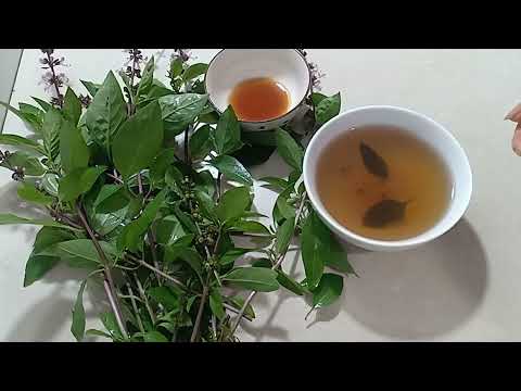 LỢI ÍCH CỦA HÚNG QUẾ VỚI MẬT ONG ĐỐI VỚI SỨC KHỎE LÀ VÀNG.