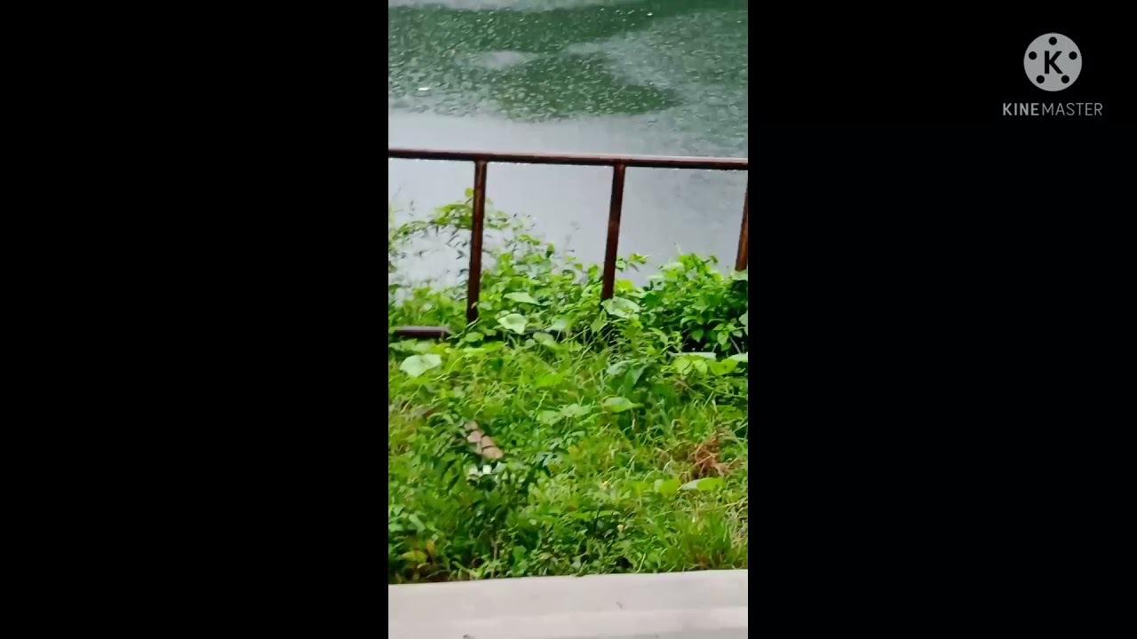 beautiful Jolding wari