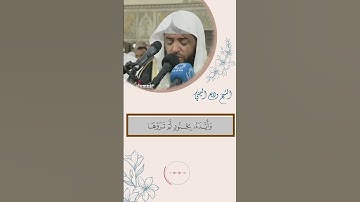 إِذْ هُمَا فِي الْغَارِ إِذْ يَقُولُ لِصَاحِبِهِ لاَ تَحْزَنْ إِنَّ اللَّهَ مَعَنَا - سورة التوبة