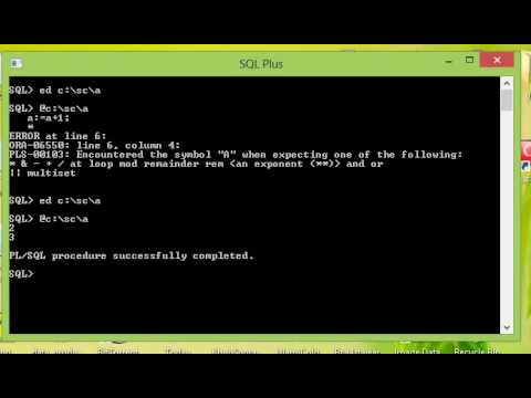Loops PlSql