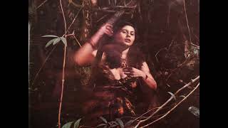 Fafa de Belem Ca ja Caetano Veloso