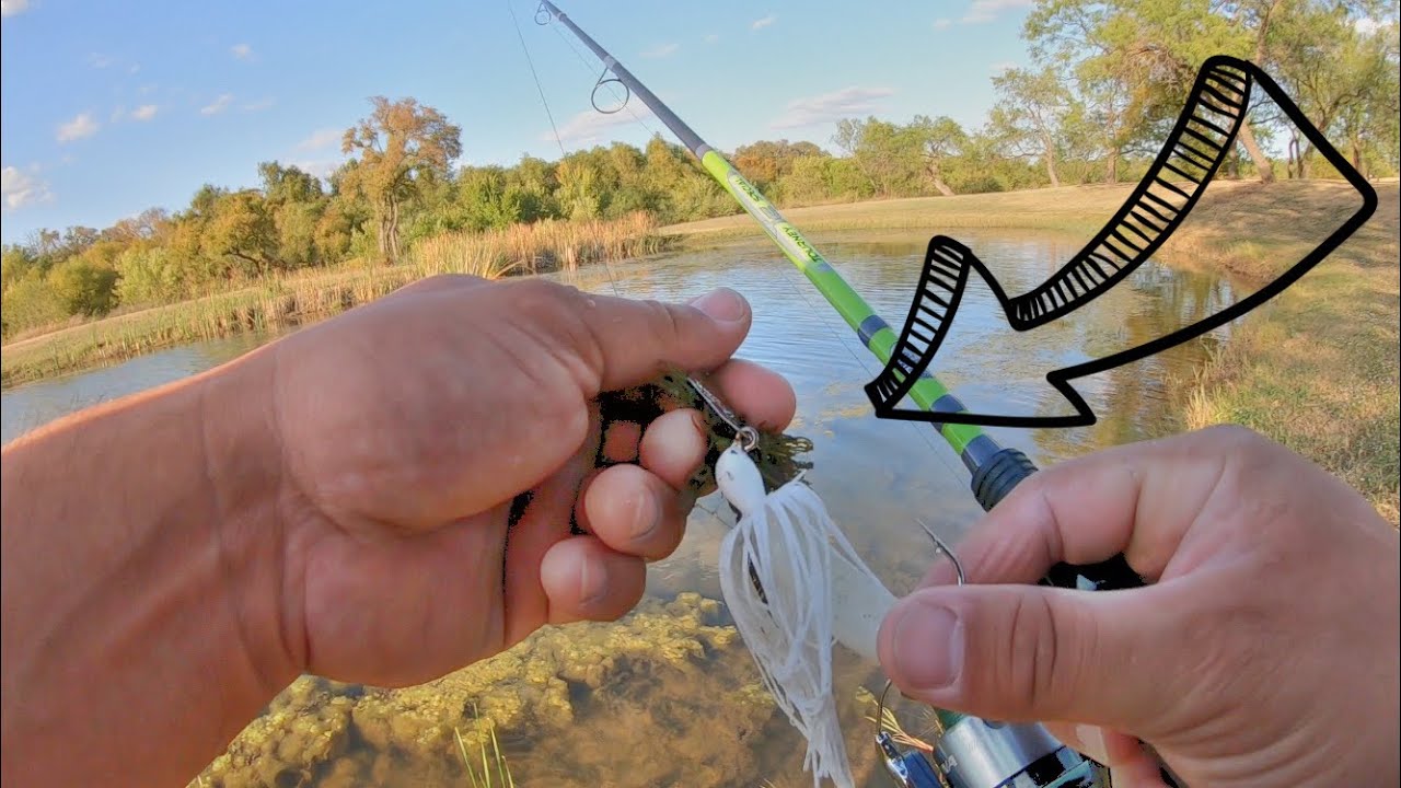 Trying to find a BIG bass (Zman chatterbait)