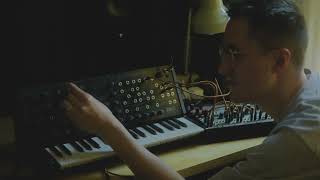 exploring gentle, ambient synth sounds on my modular synth.