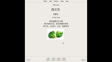 Anki sound playback bug