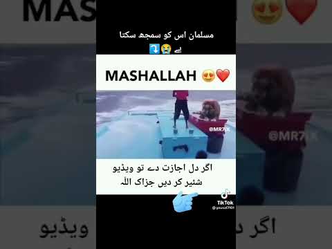 mashallah❤