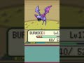 Are they legs or tails? #pokemon #gaming #funny #pokemonnuzlocke #nuzlocke #gamefreak #nintendo