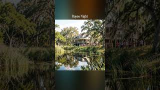 Bayou Night
