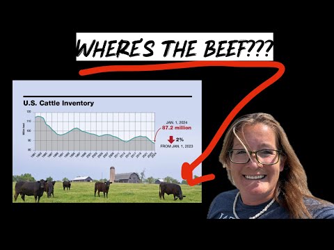 Poisoning of America’s forest & gentrification of Montana