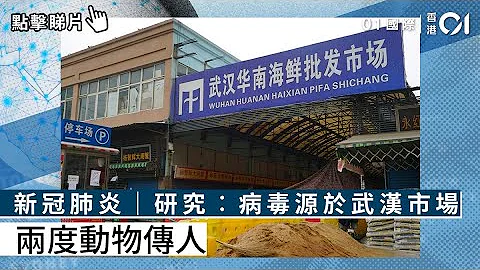 新冠肺炎｜研究︰病毒源於武漢市場　兩度動物傳人 - 天天要聞