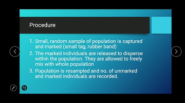 mark and recapture technique