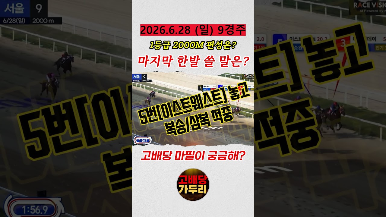 고배당 마필이 궁금해?