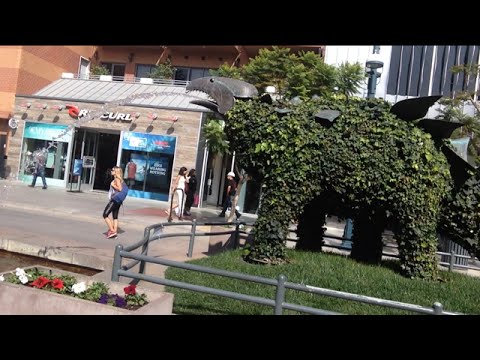TheDailyWoo - 963 (2/19/15) Santa Monica Spitting Dinosaurs