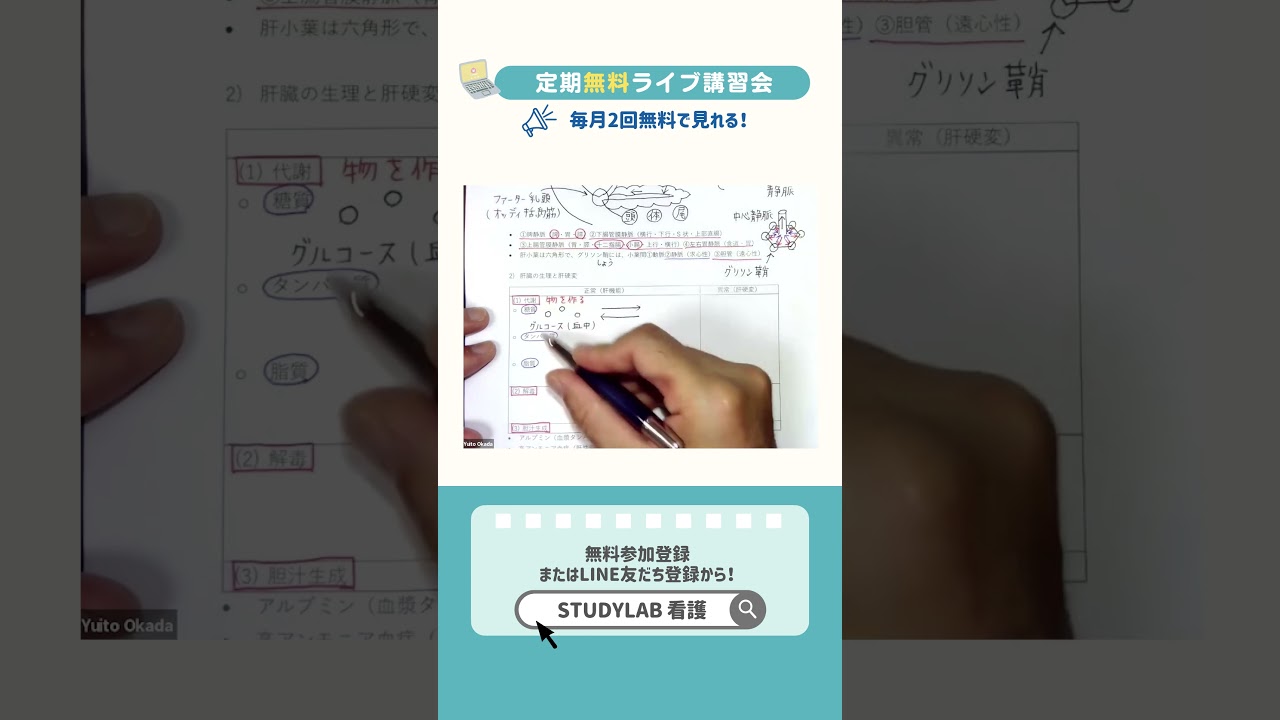 肝臓2 解剖生理 無料定期ライブ講習会ちょい見せ STUDY LAB 看護師国試対策