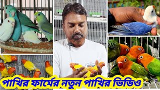 পাখির ঘরের লাভ বার্ড পাখির ফার্মের নতুন পাখির ভিডিও | Pakhir farm  | pakhir video | 08-04-2026 ||