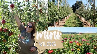 MINI VLOG // Fall Family Adventures at the Orchard // apple picking and lost in the 🌽Corn Maze? by charmerblog 34 views 2 years ago 22 minutes