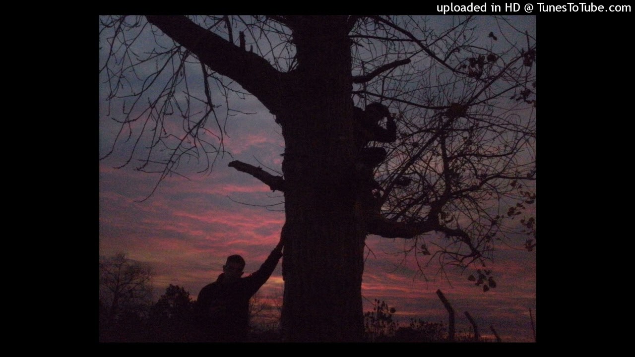 INDIAN DWELLAZ - ASSASSIN CODEZ