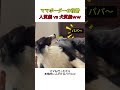 ママボーダーの復讐 人質劇 vs 犬質劇ｗｗ #おすすめ #youtubeshorts #shorts