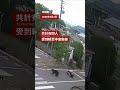 日本鋼鐵廠發生熊攻擊事件－ BBC News 中文 #日本
