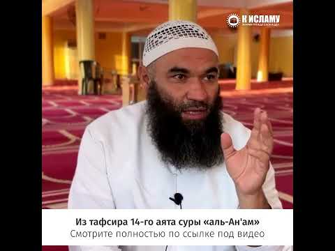 Старайся быть первым во всём! #shorts Ринат Абу Мухаммад