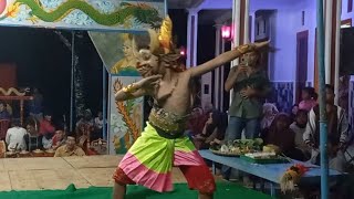 KEBO GIRO YUNIOR LANJUT KESURUPAN OTEK OGLENG ‼️ CONDRO MOWO Petandon Tanjunganom  #salamhokya