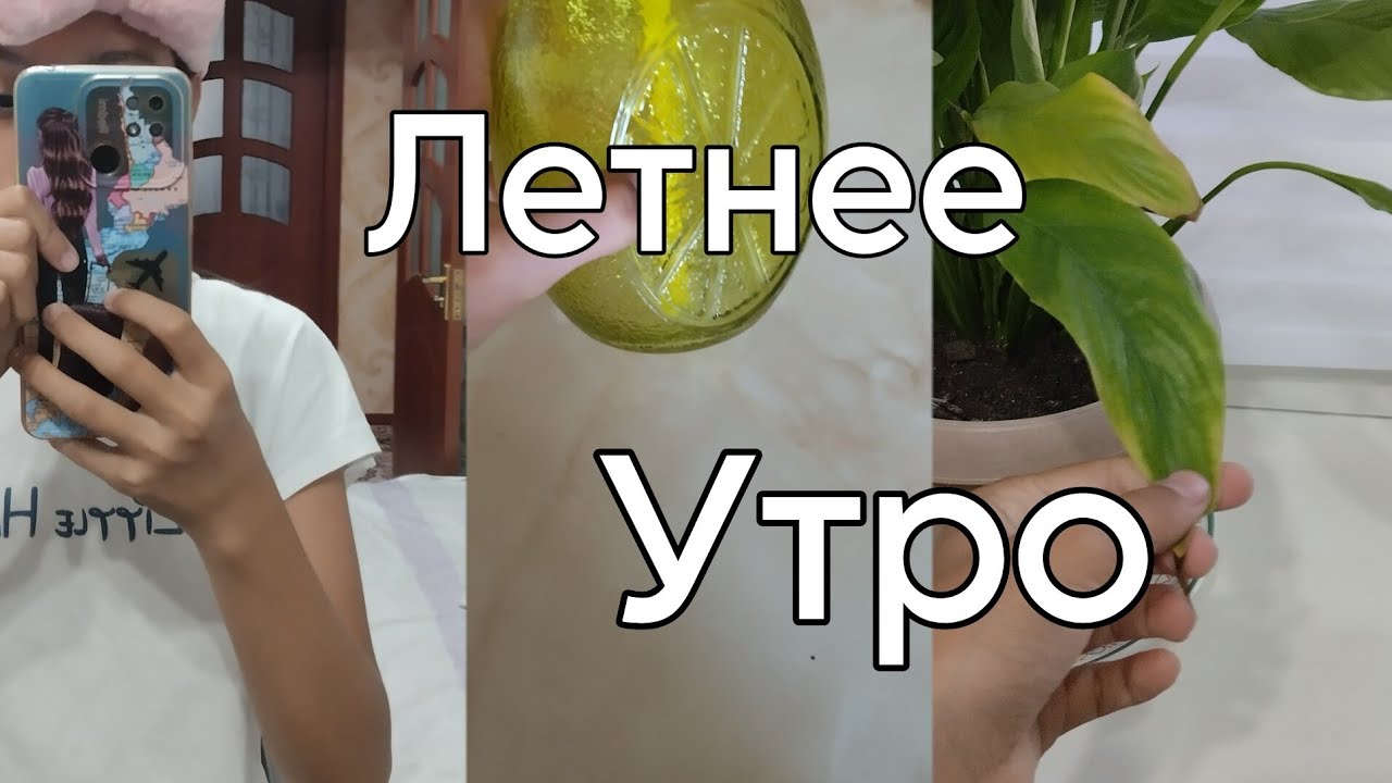 Мое летнее утро 💘🎧💤 - YouTube