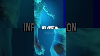 Walking Benefits: Bone Density, Reduced Inflammation, &amp; More! #shorts