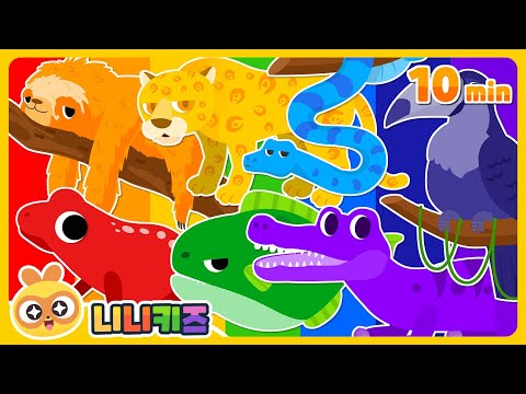 <strong>사파리</strong> 동물? 멸종 동물? | 단어 놀이 | 니니키즈 NINIkids