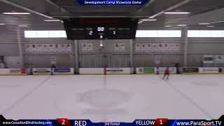Canadian Blind Hockey 2019 Summer Camp - Development Showcase Game