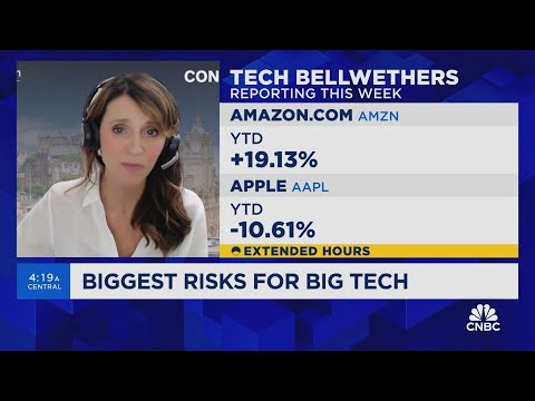 Magnificent 7 is not a monolith in this stock picker's market, says Alison Porter Episode cover