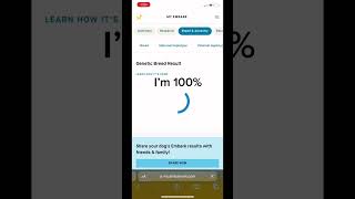 I took a DNA test #embarkvet #embark