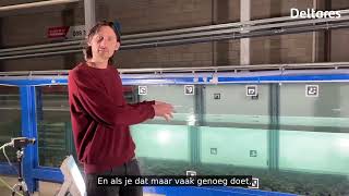 Onderzoek naar plasticstromen in de Oosterscheldegoot