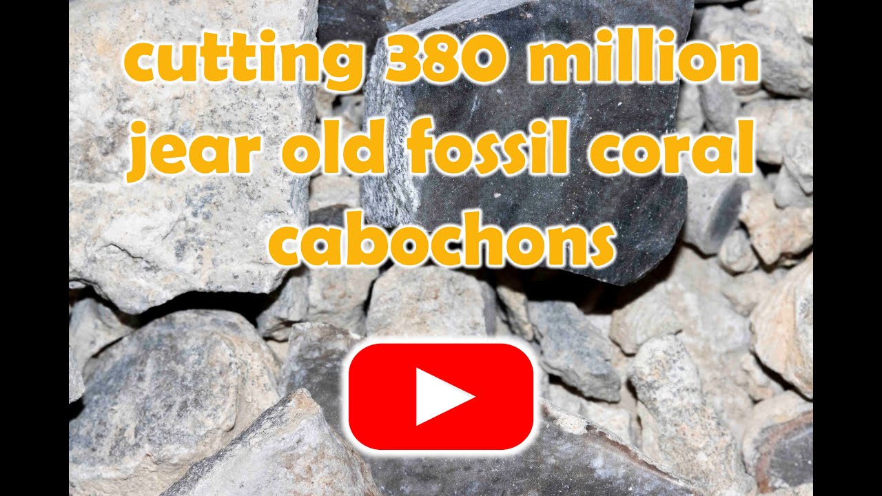 Cutting 380 million jear old fossil coral in to cabochons