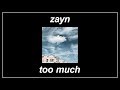 Too Much ZAYN Feat Timbaland Lyrics