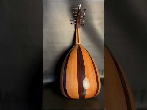 عودوني بمعرض الصانع محمود داغر علي عود من فئه B زند لسان تسلسل B541 